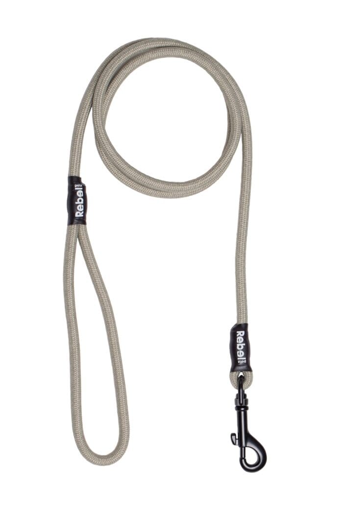 Rebel Petz Basic Leash Taupe Small