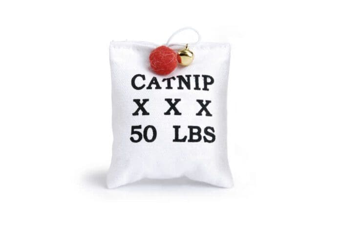 BEEZTEES CANVAS ZAKJE+CATNIP 10